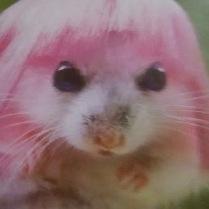 Meet your Posher, Tam